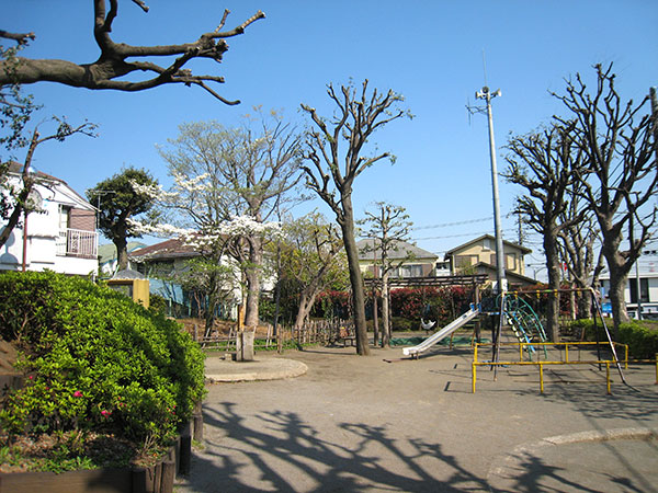 隣地　富士見台公園